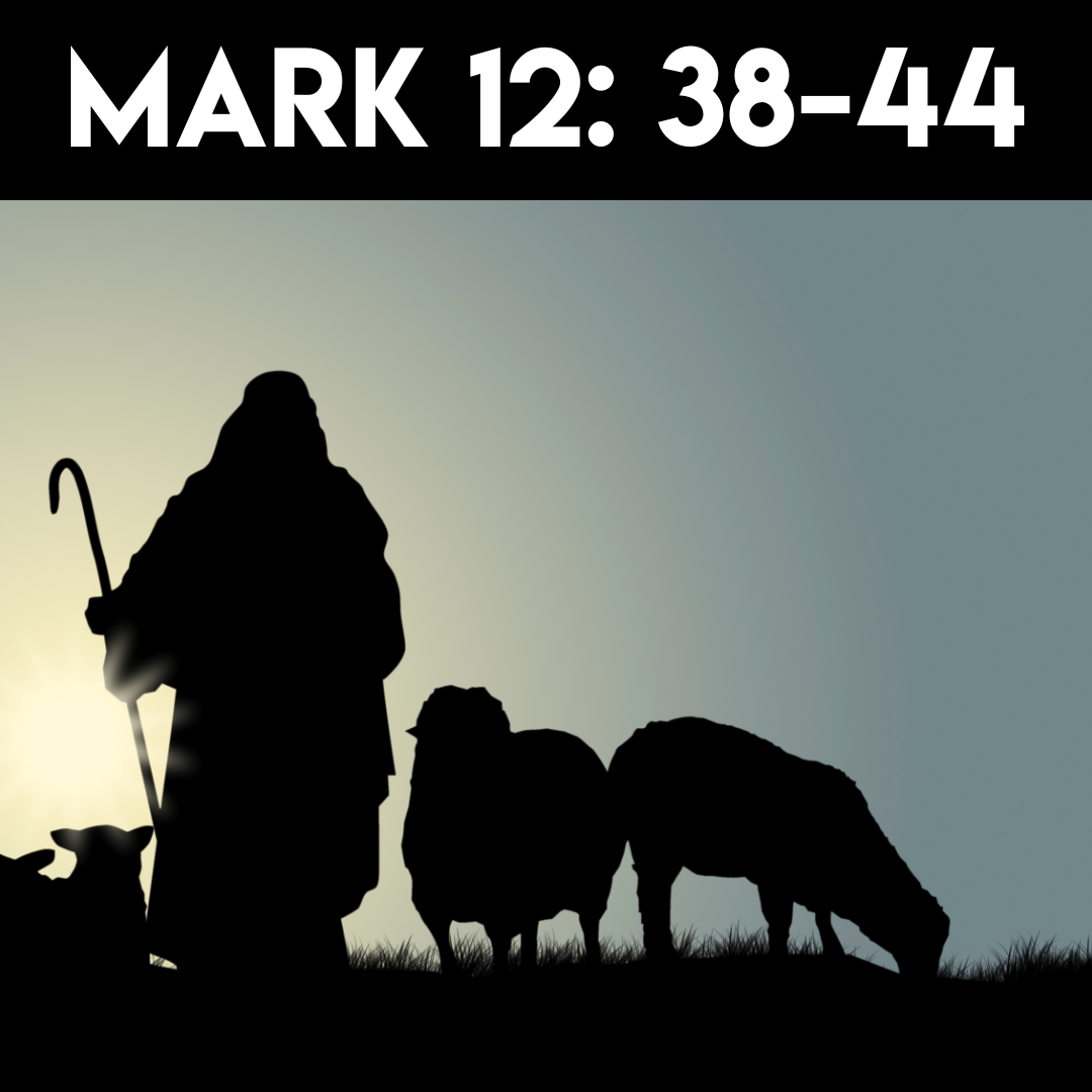 Sermon - 11-10-24