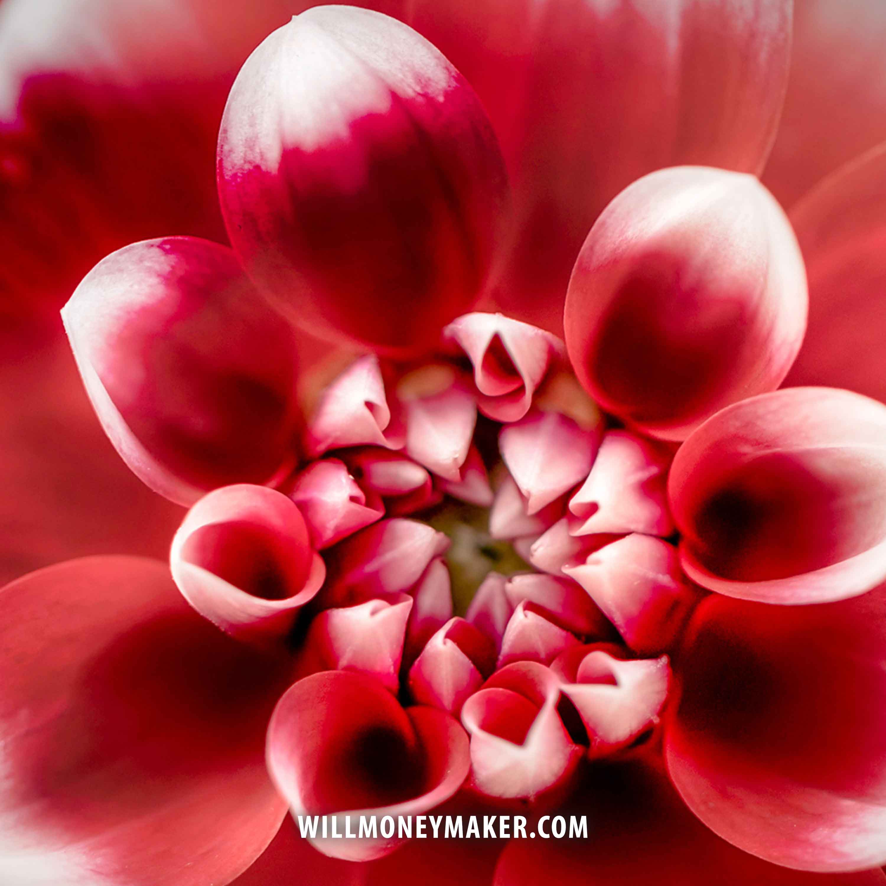 WM-514: Branching Projects and Spinoffs | Photography Clips Podcast