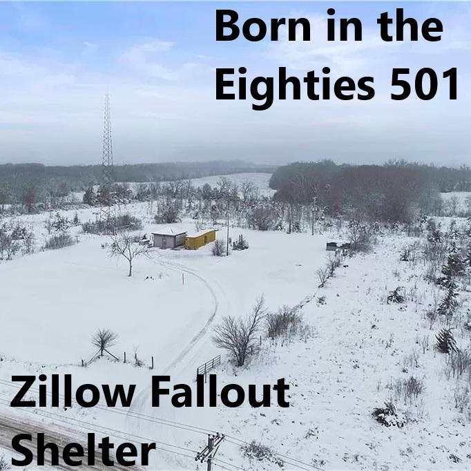 Born in the Eighties 501: Zillow Fallout Shelter