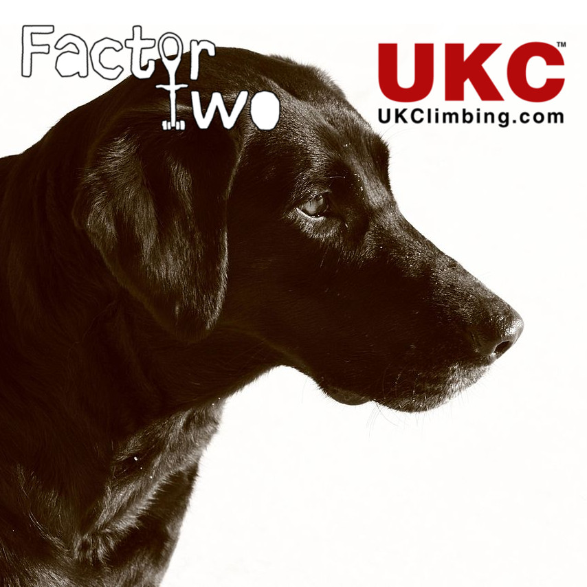 Factor Two