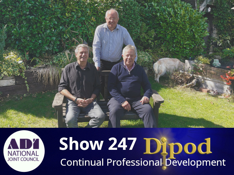 Show 247 - Continual Professional Development