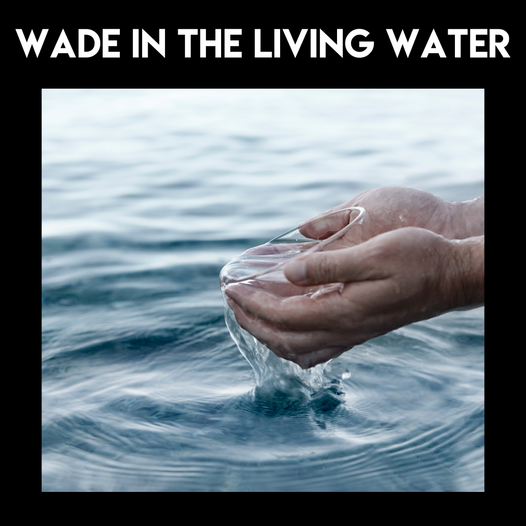 Special Music - Wade In The Living Water