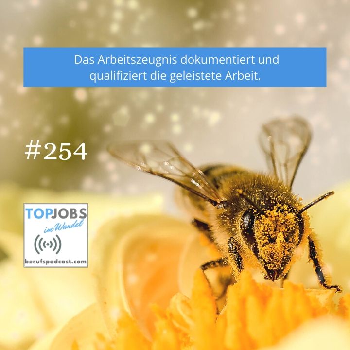 TopJobs im Wandel - DER Berufspodcast mit Christoph Stelzhammer