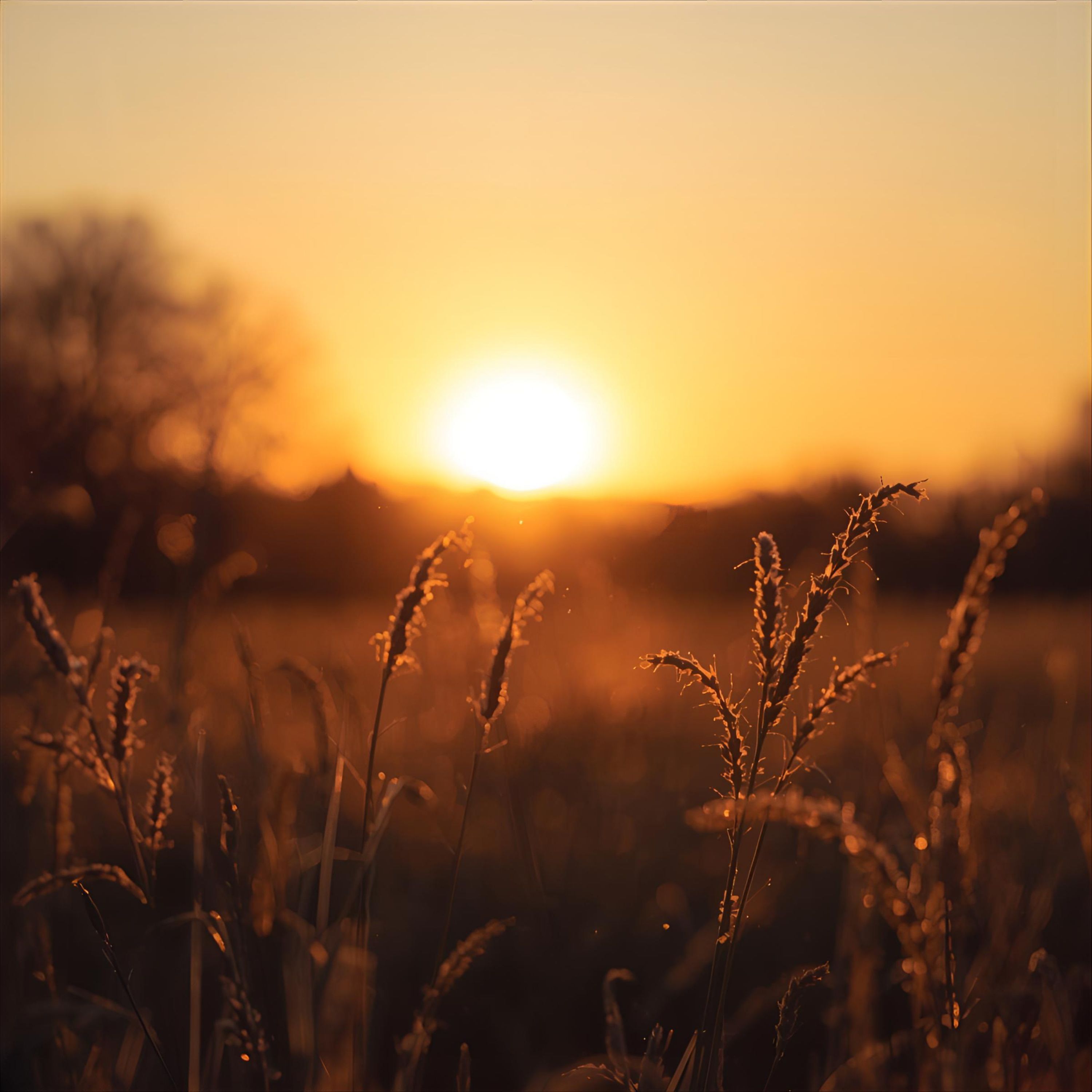 Living in the Truth\'s Podcast