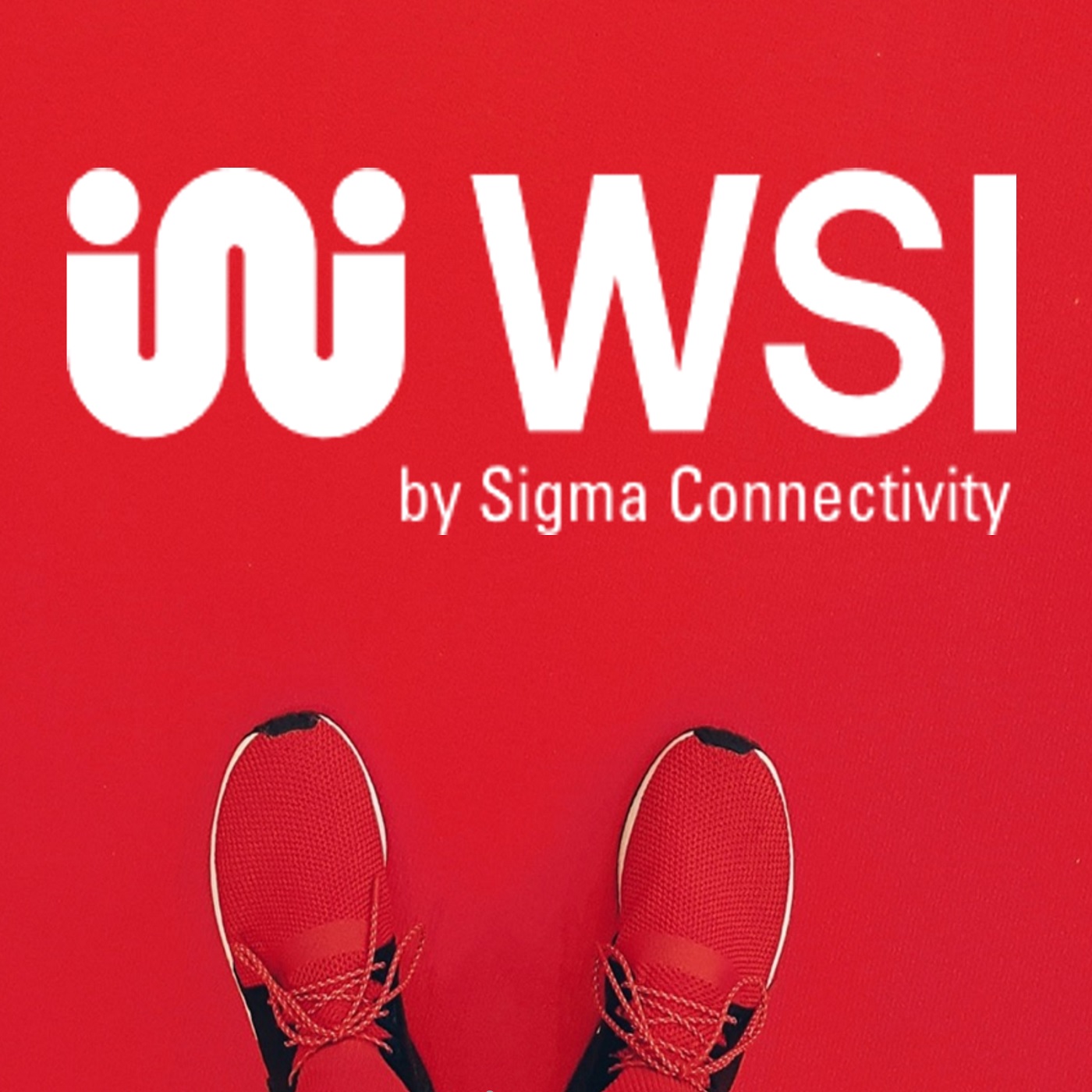 wsisweden's connecting the dots series
