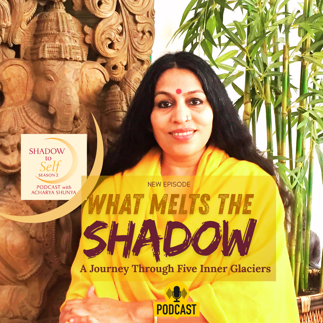 Shadow to Self with Acharya Shunya