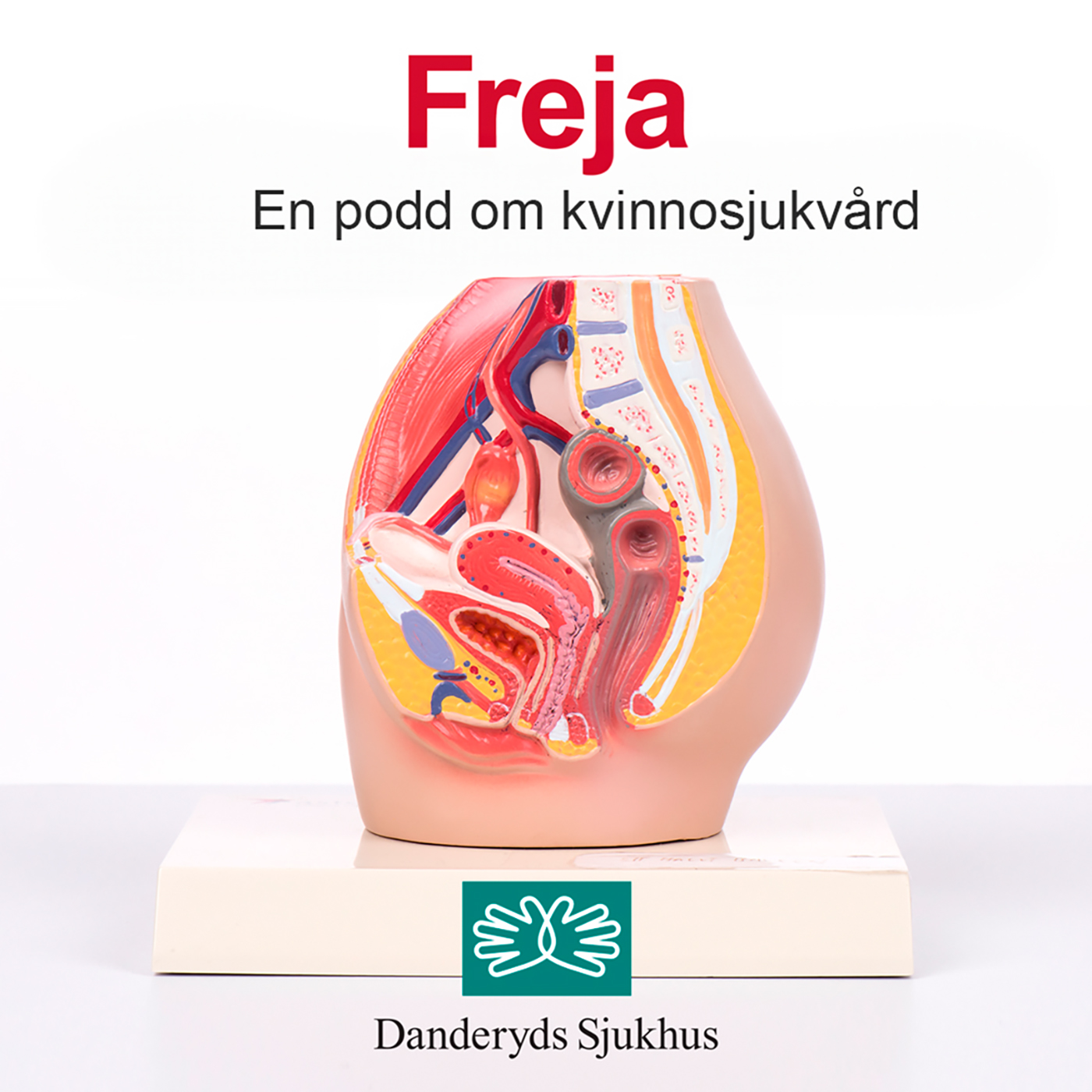 Freja – en podd om kvinnosjukvård