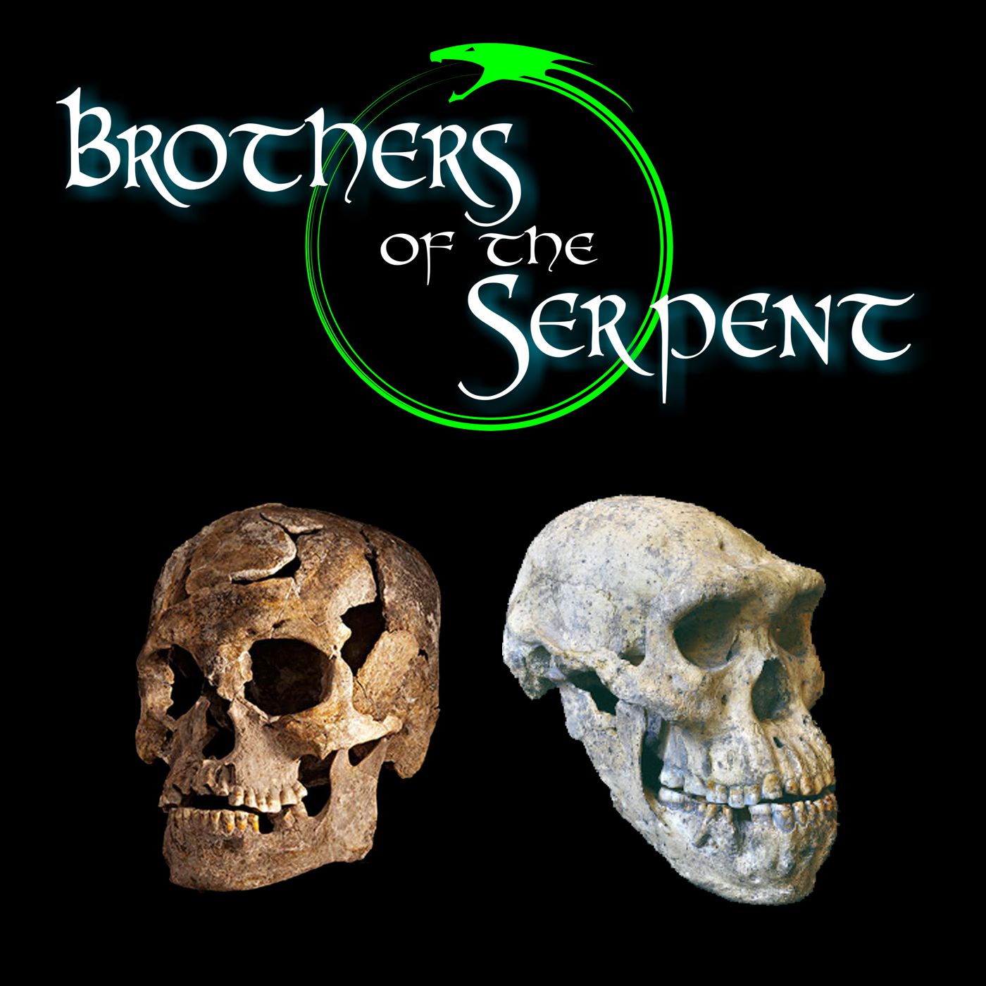 Episode Logo