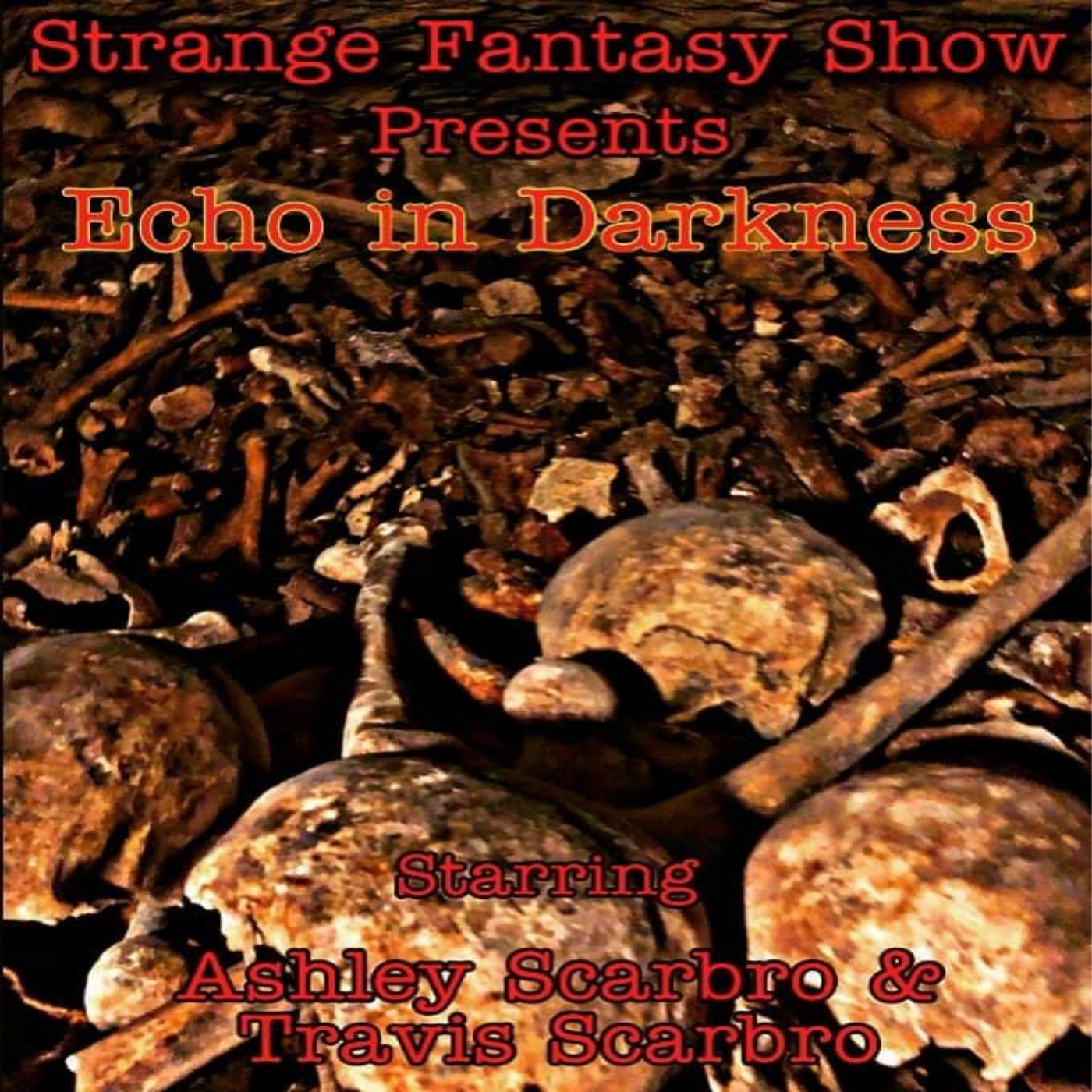 Echo in Darkness