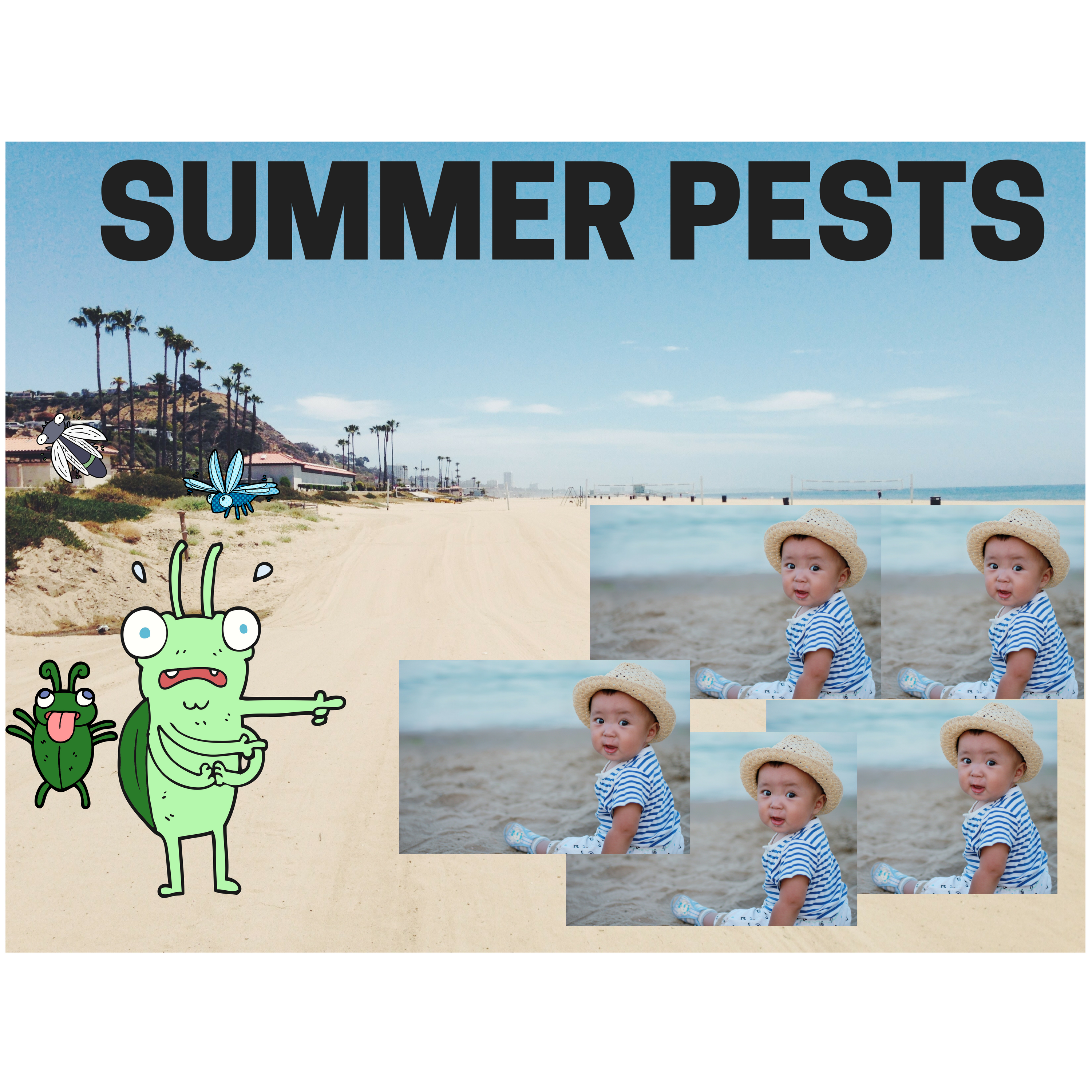 Summer Pests