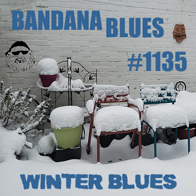 Bandana Blues #1135 - Winter Blues