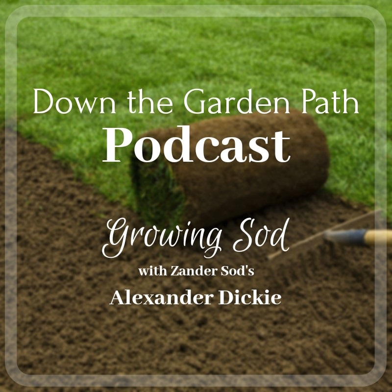 Down The Garden Path Podcast