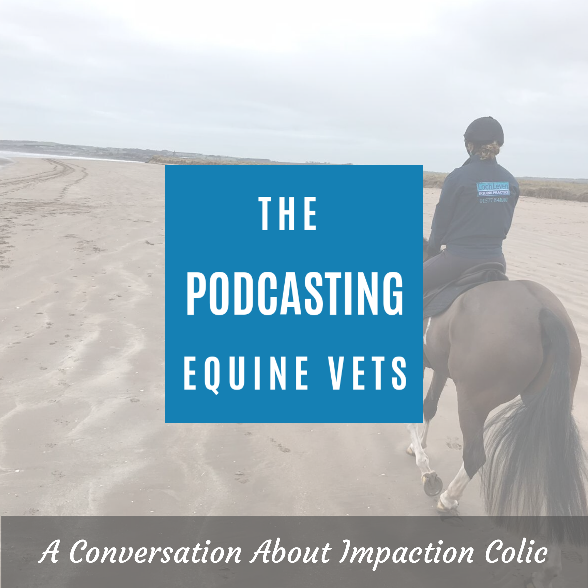 The Podcasting Equine Vets