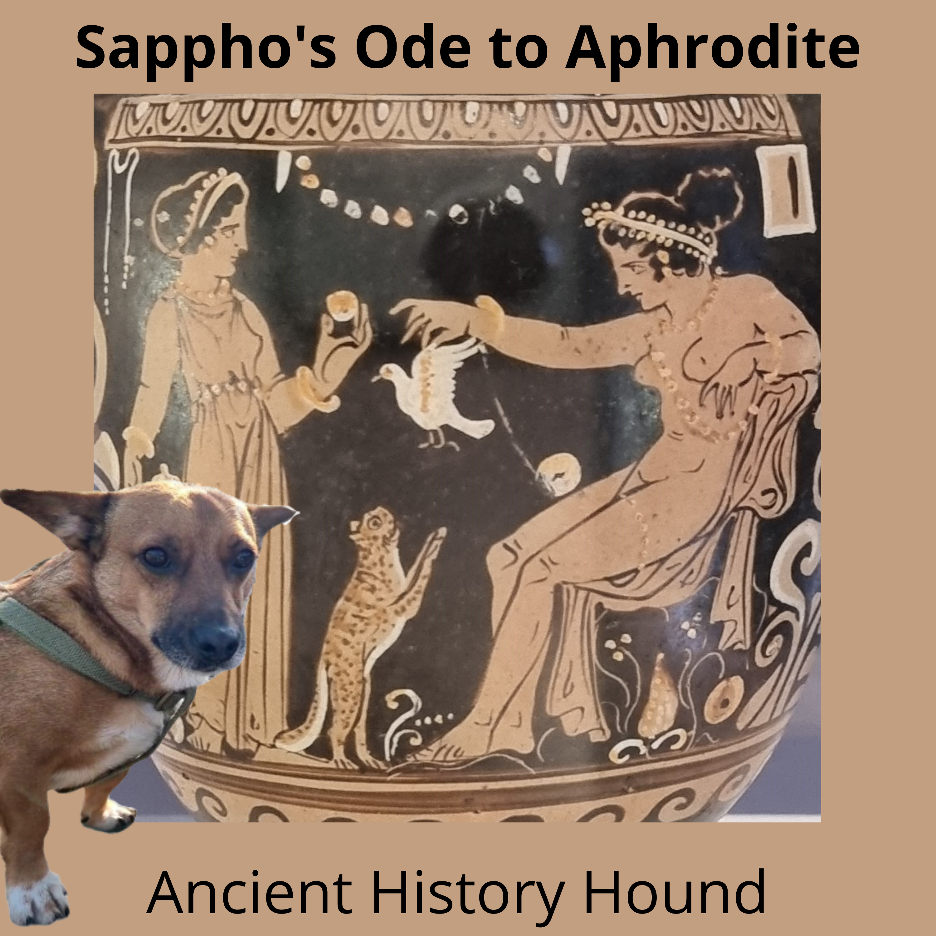 Ancient History Hound