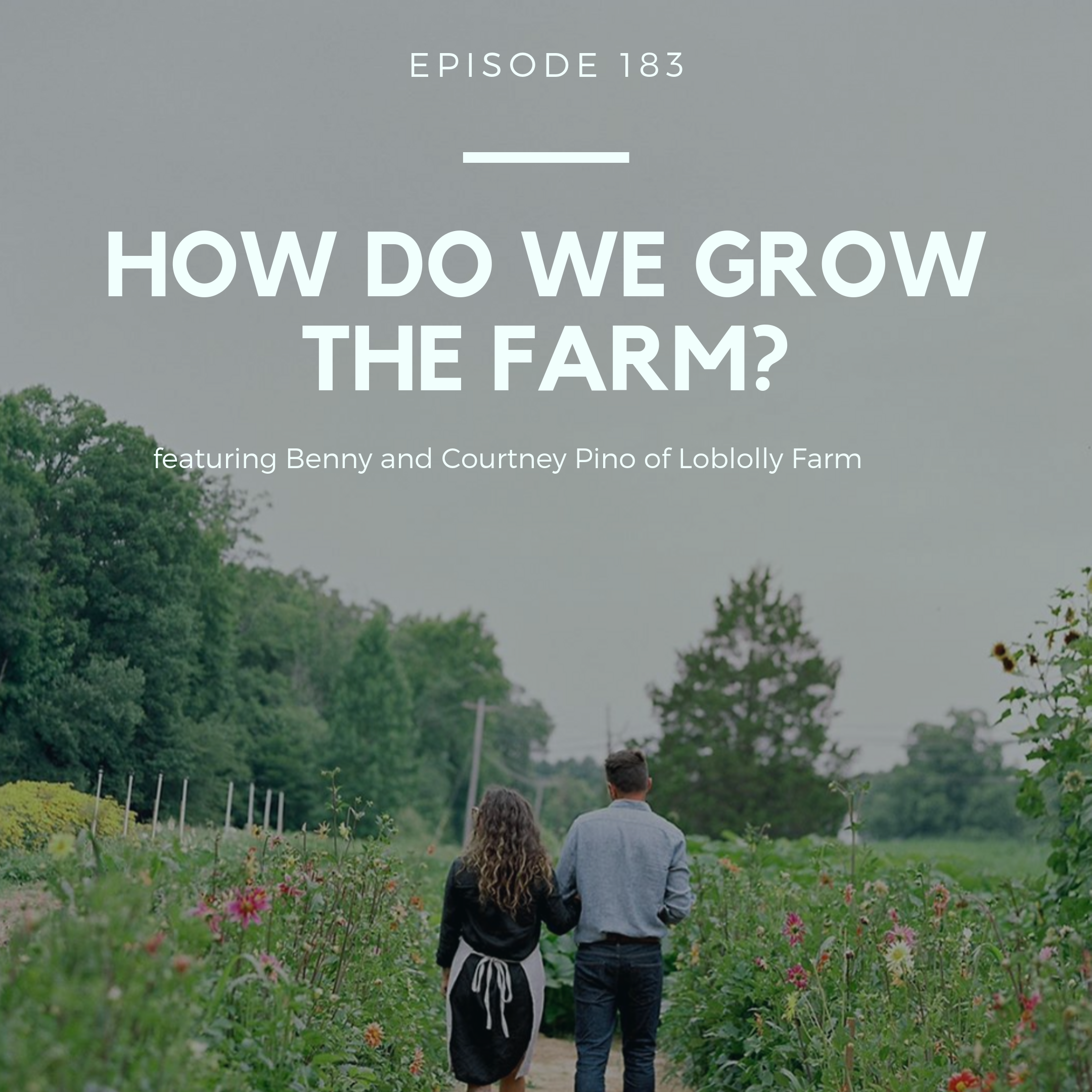 Growing A Farm with The Resources You Have  with Loblolly Flower Farm (FSFS183)