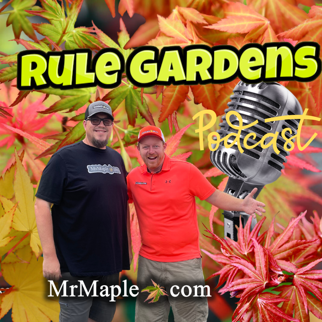 Japanese Maples of Bryan Rule's NC Garden | Japanese Maple Talk Show | MrMaple Podcast