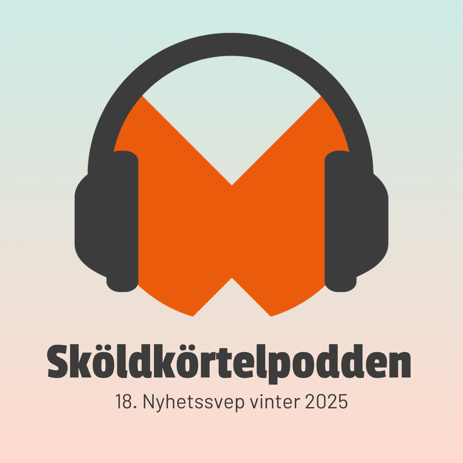 18. Nyhetssvep vinter 2025