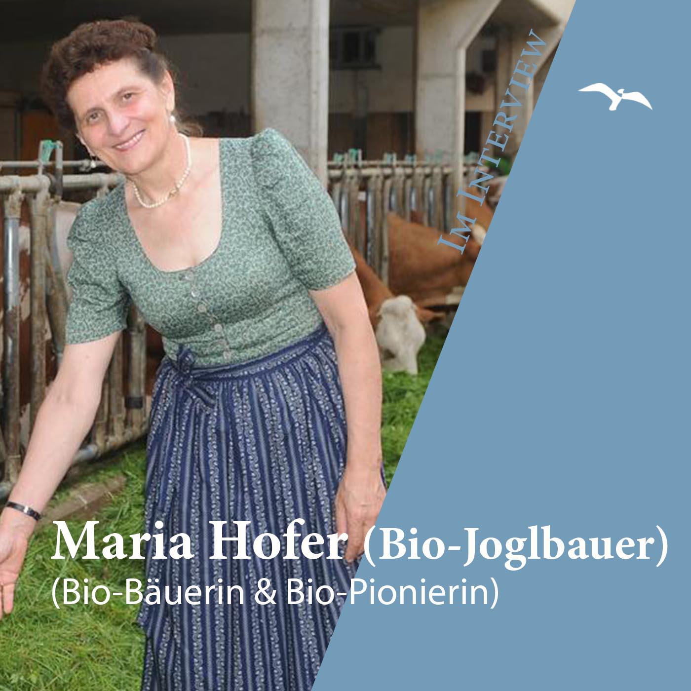 Antworten zum Glück - Die Freiheit ruft Deinen Namen #DFRDN