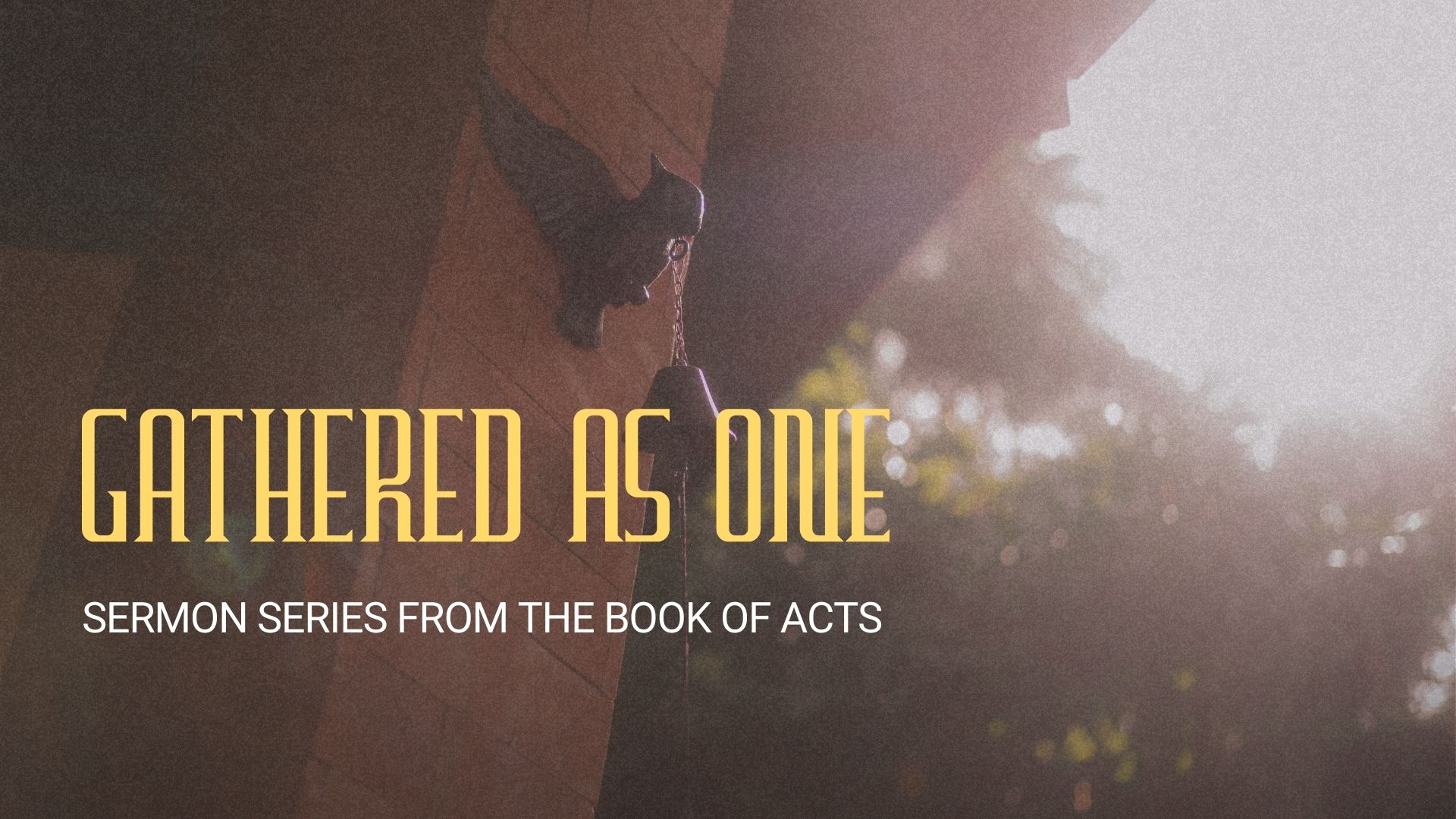 NOVEMBER 3: Gathered to Serve