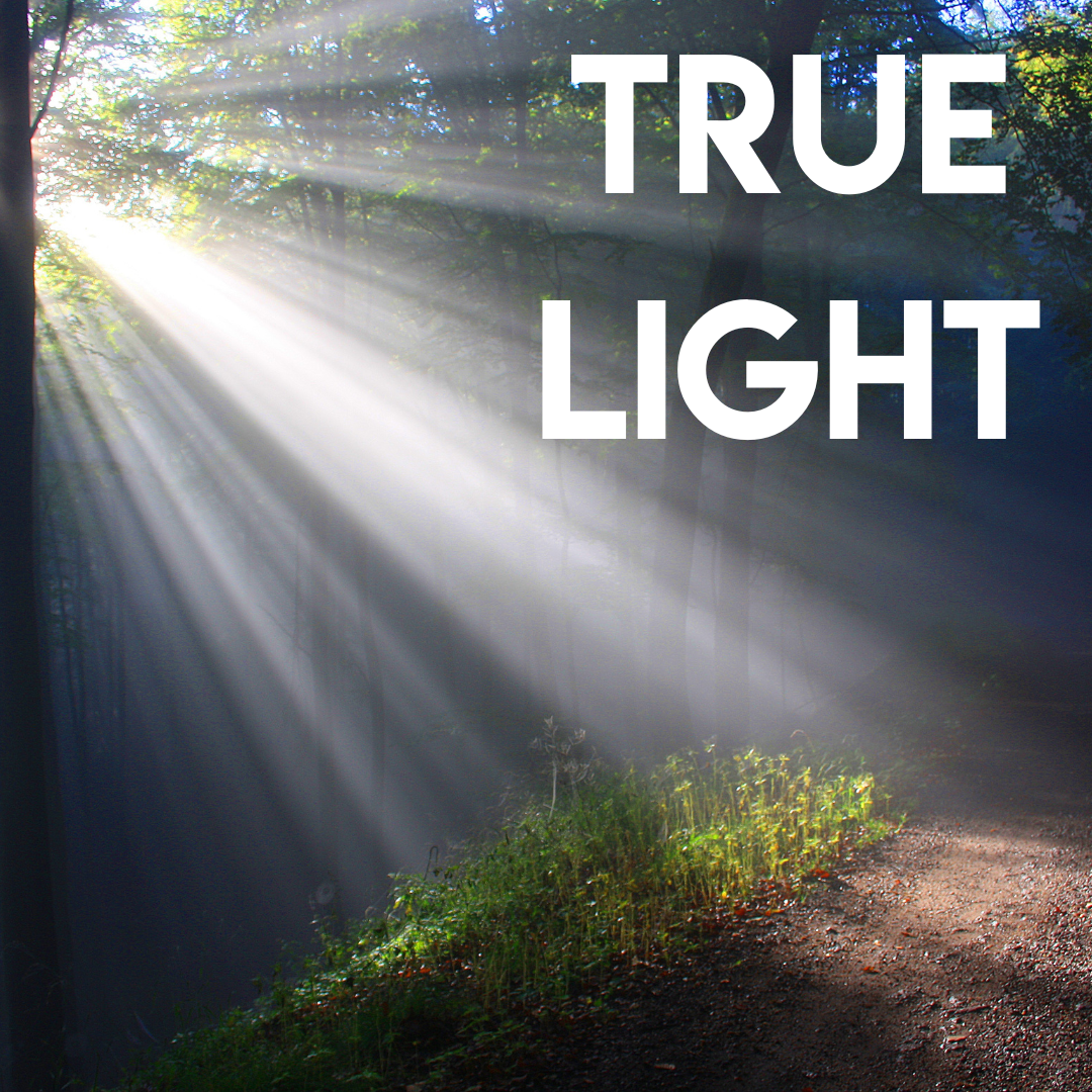 Special Music - True Light