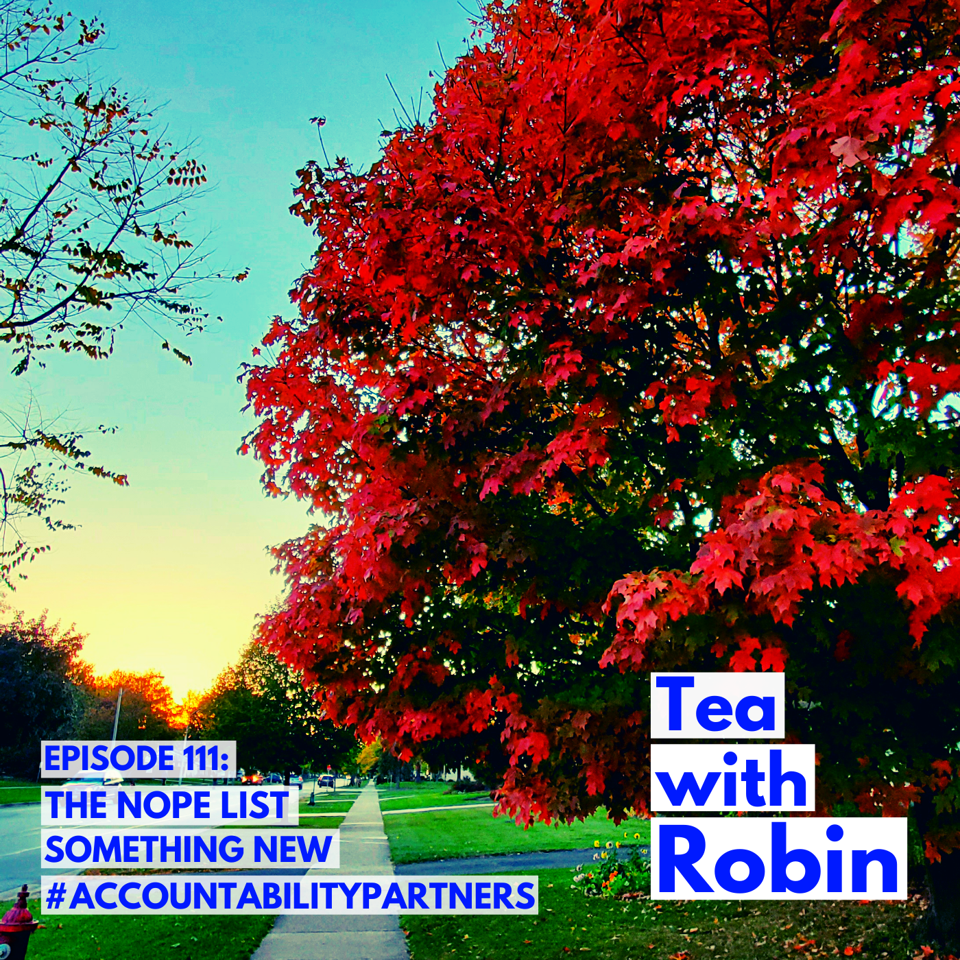 Tea with Robin