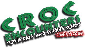 Croc Encounters episode artwork
