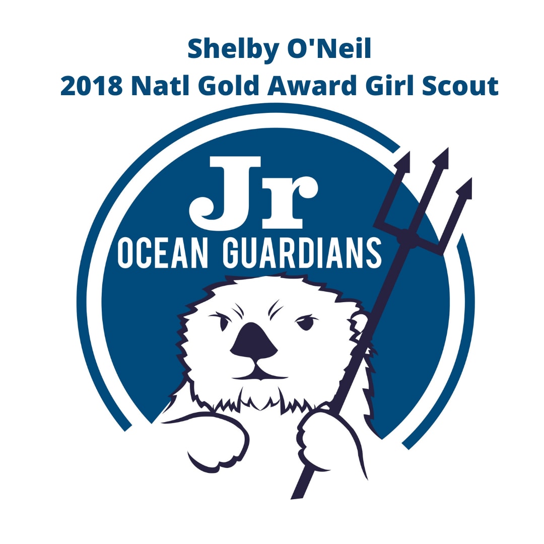 Hearts Of Gold - Reflections from Gold Award Girl Scouts