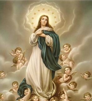 Assumption of Mary - Sermons 09/07/24