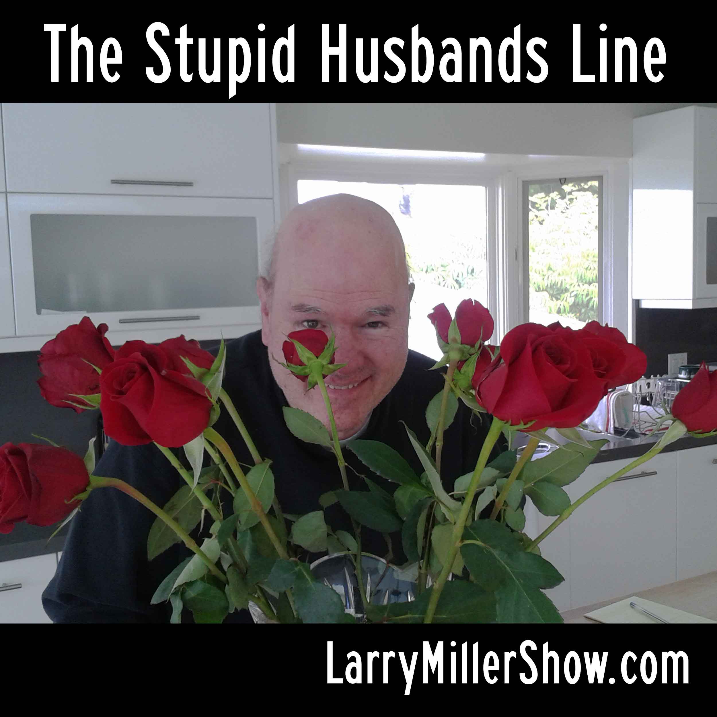 The Stupid Husbands Line