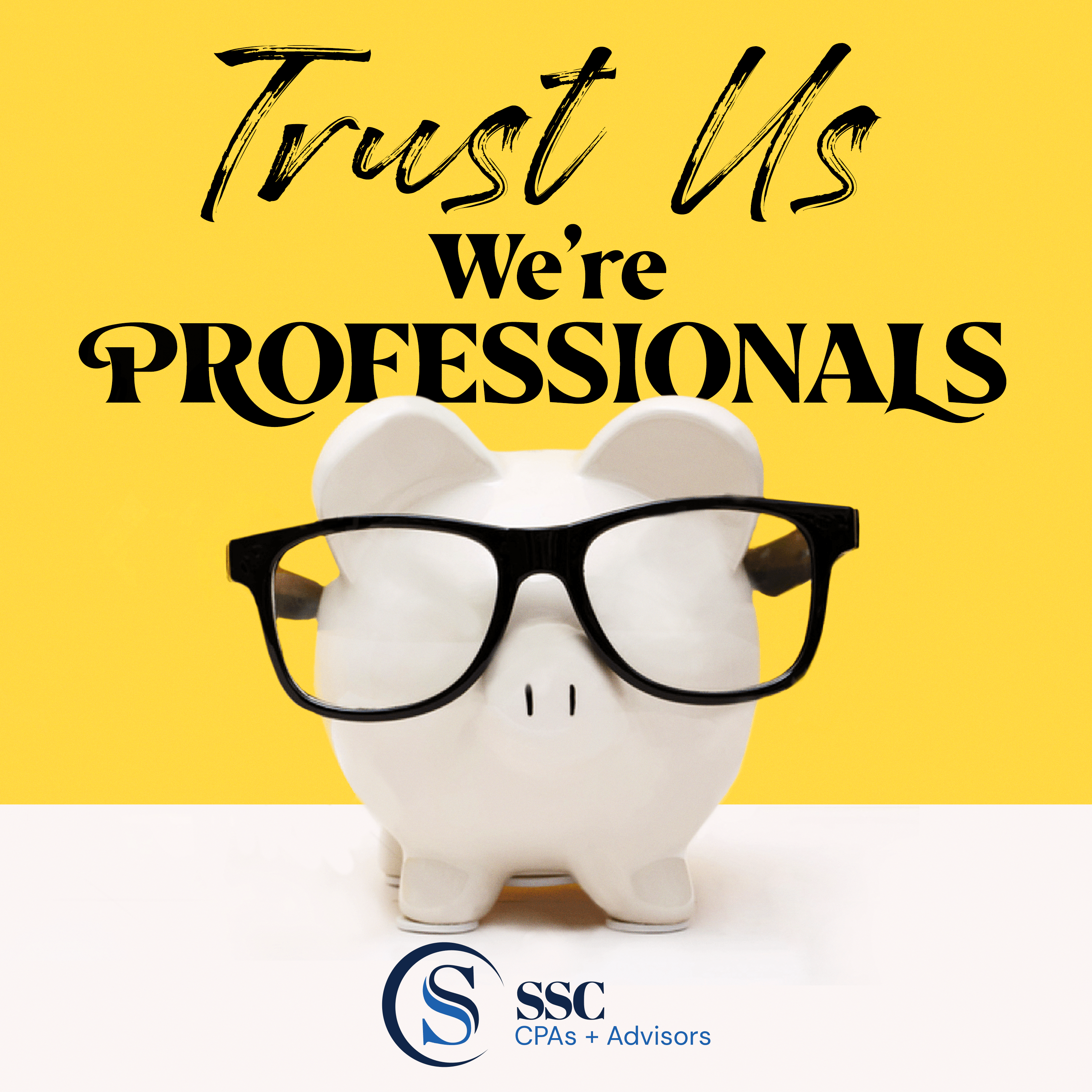 Trust Us We\'re Professionals