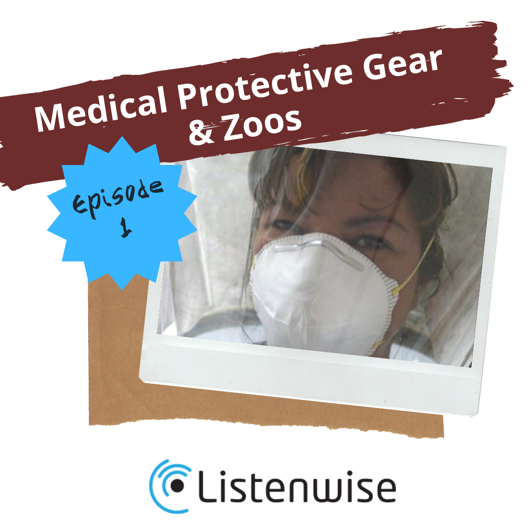 Listenwise News Bites