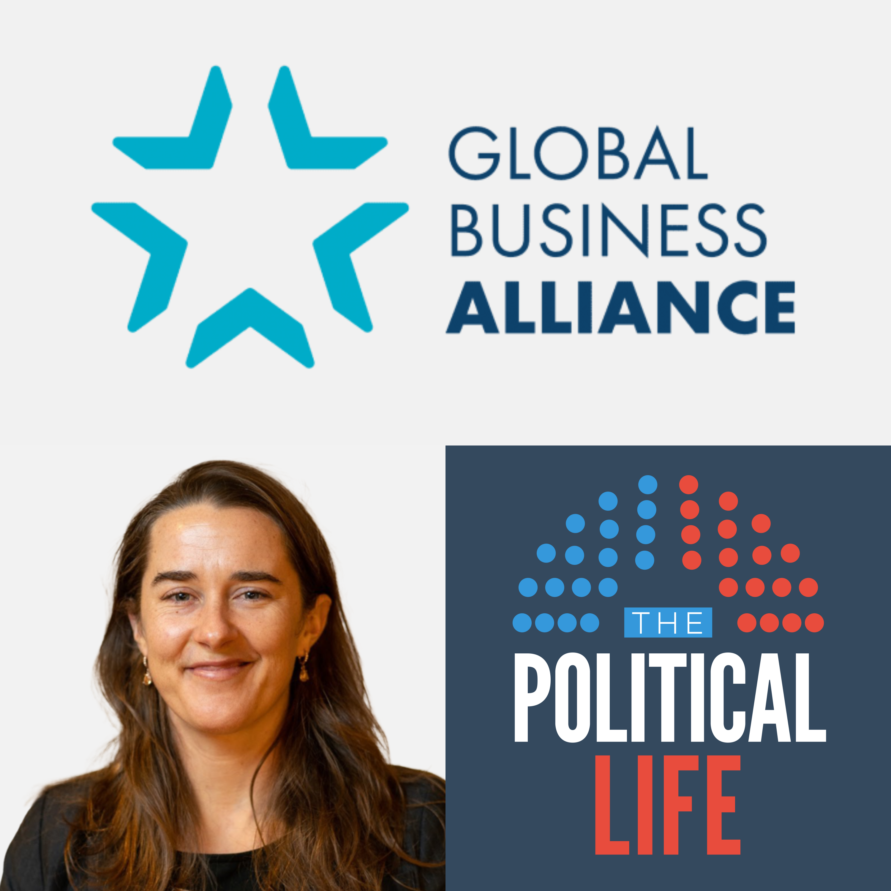 The Political Life