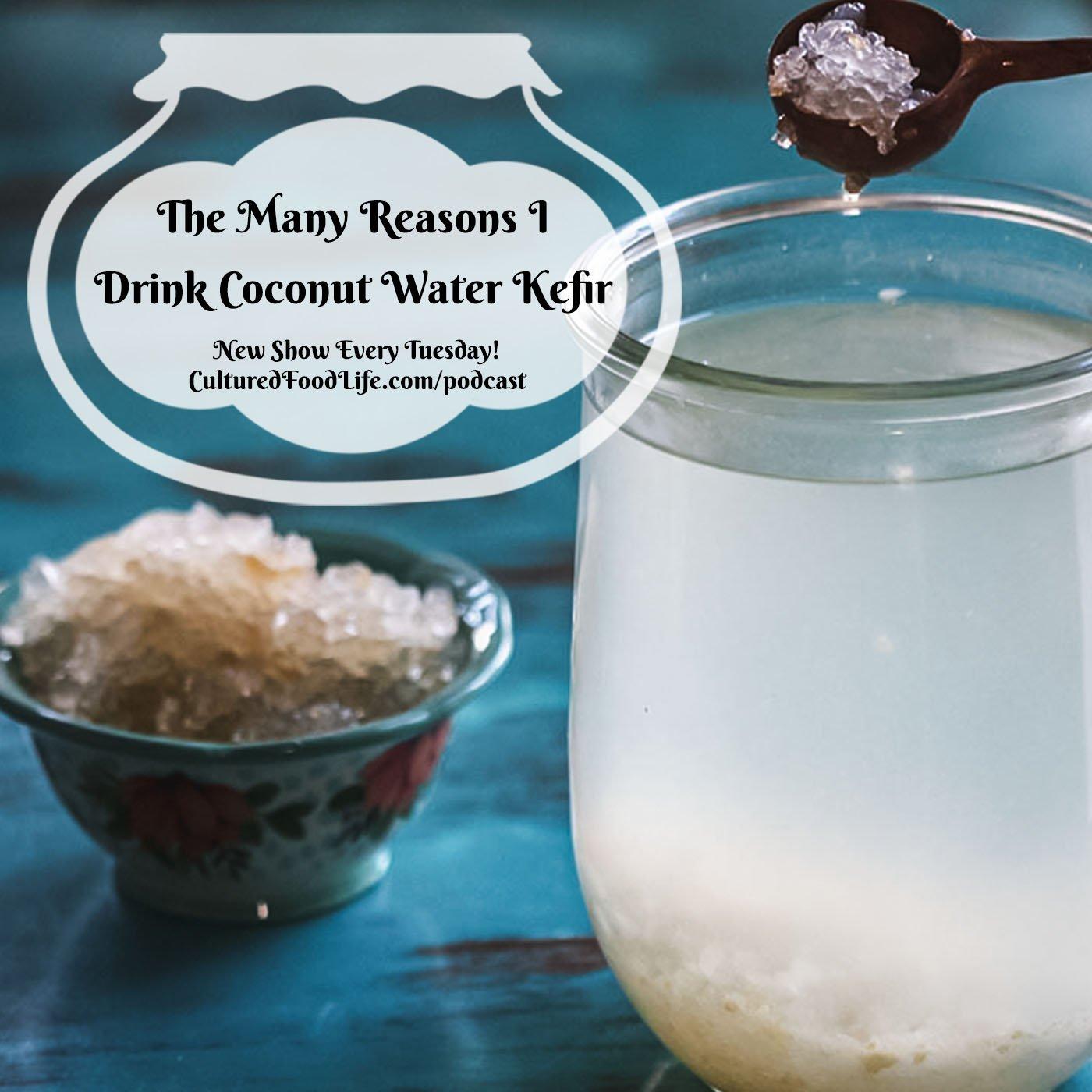 Episode 84: The Many Reasons I Drink Coconut Water Kefir