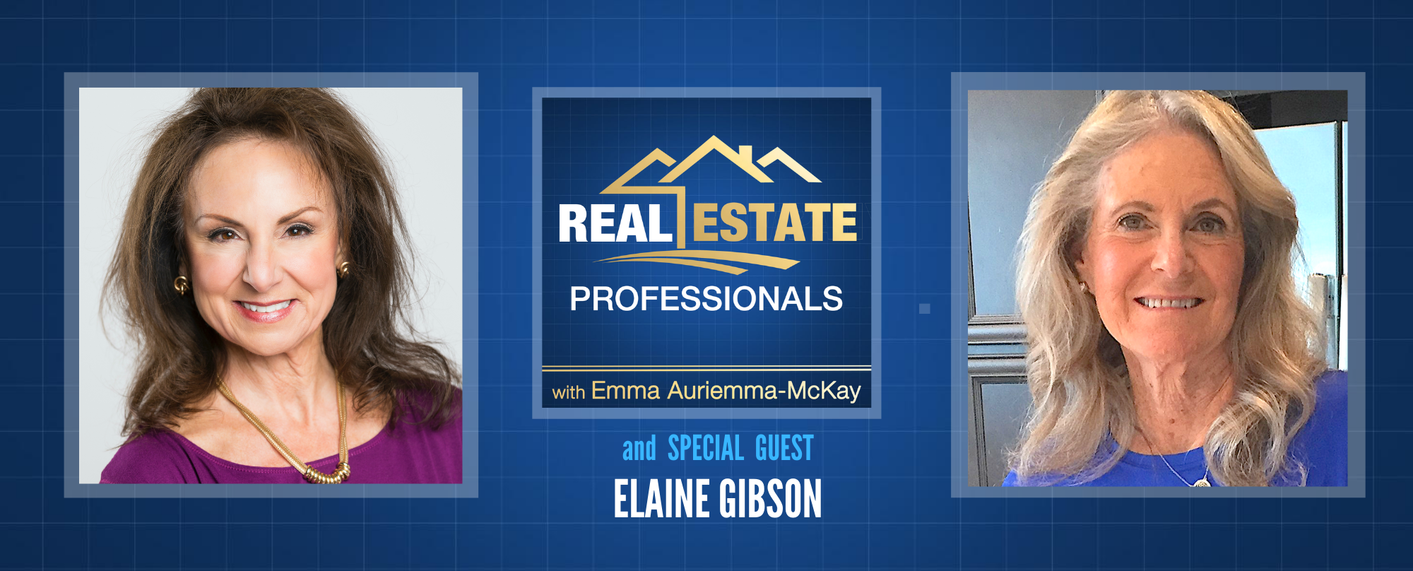 Real Estate Professionals - Property Sales Tactics for Realtors