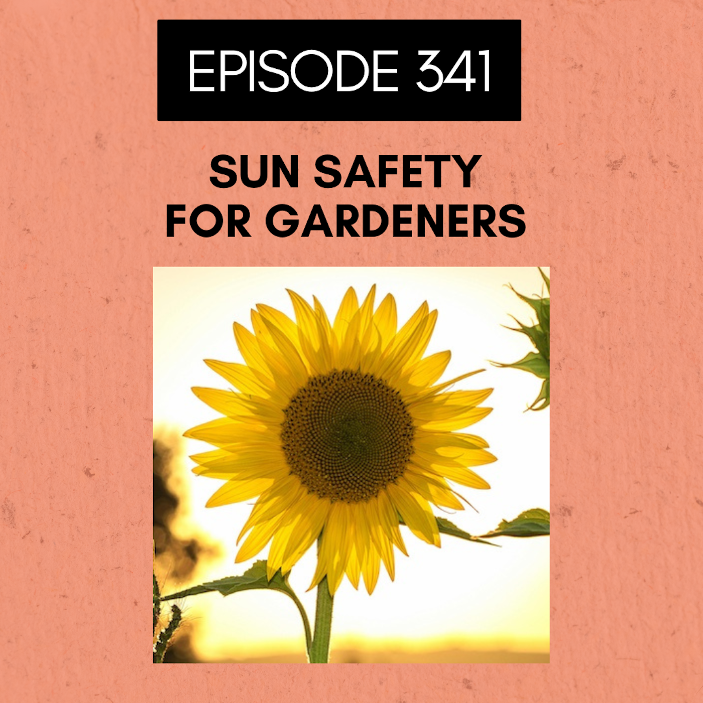 Roots and All - Gardening Podcast