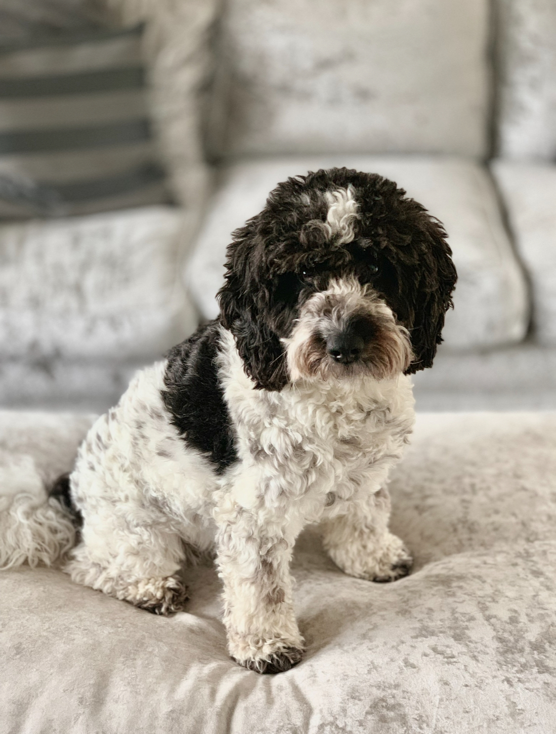 #234 : December, Baby!!! - Jackin' House - 7th December, 2025