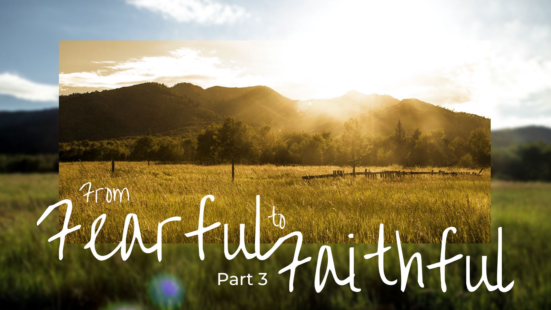 From Fearful to Faithful: Psalm 23, Wk 3 - From Faithful to Fruitful