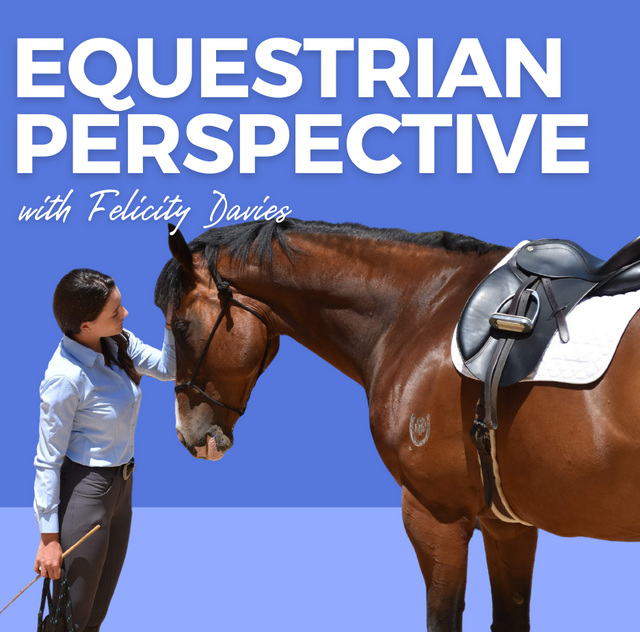 114. Everything You Need To Know About The NEW Confident Equestrian Program Membership