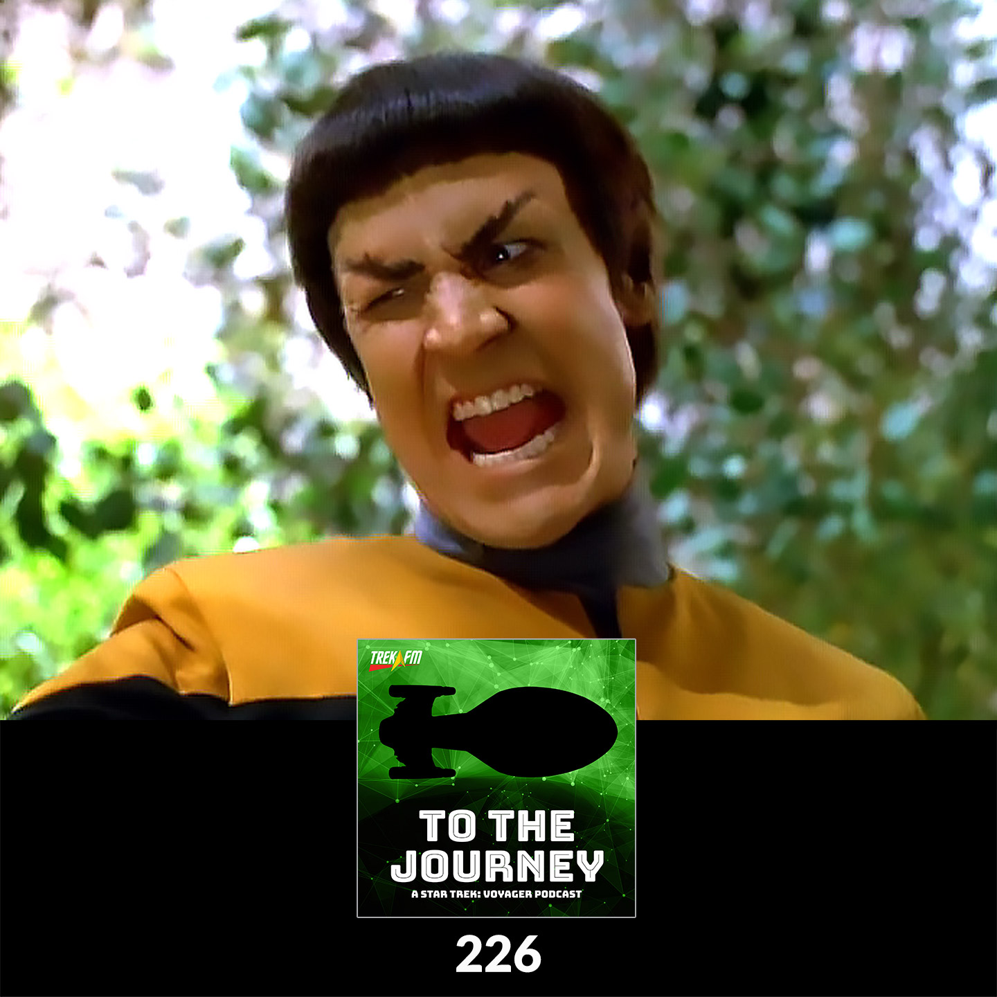 To The Journey: A Star Trek Voyager Podcast