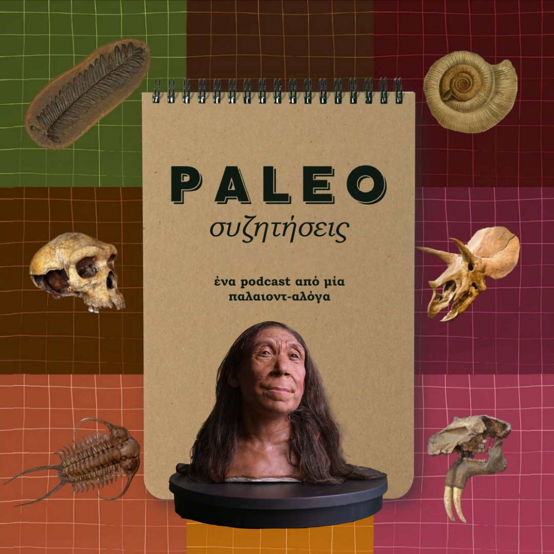 Οι Νεάντερταλ δεν είναι αυτό που νομίζεις ... Paleoσυζητήσεις Ep. 16