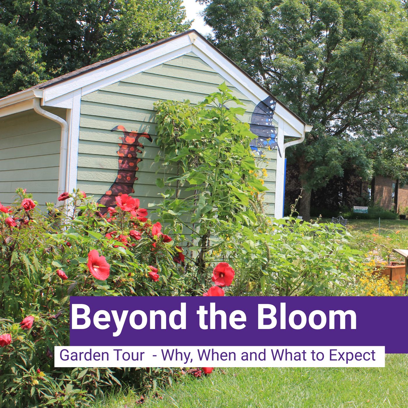 We are Extension - Douglas County, KS Podcast