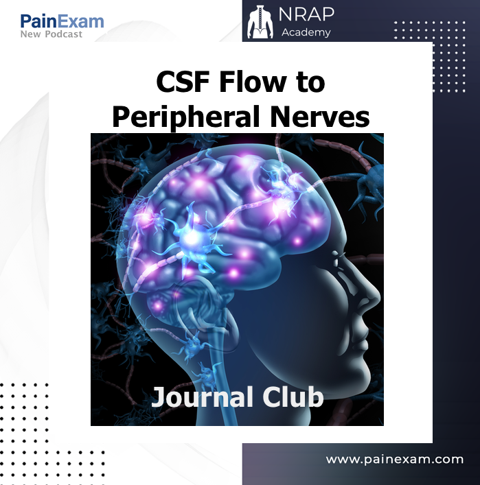 Journal Club- Cerebrospinal Fluid and Glymphatic Circulation in Human Nerves