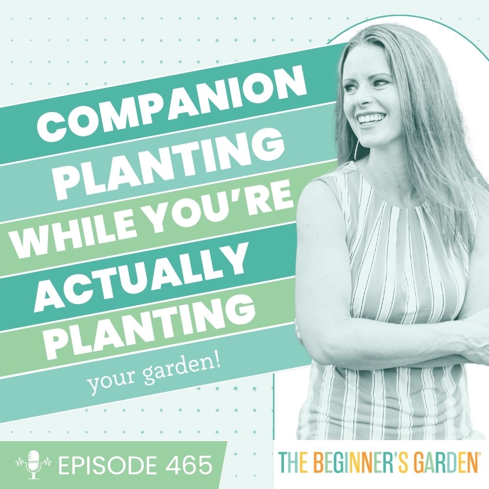 465 - Companion Planting While You're Actually Planting Your Garden