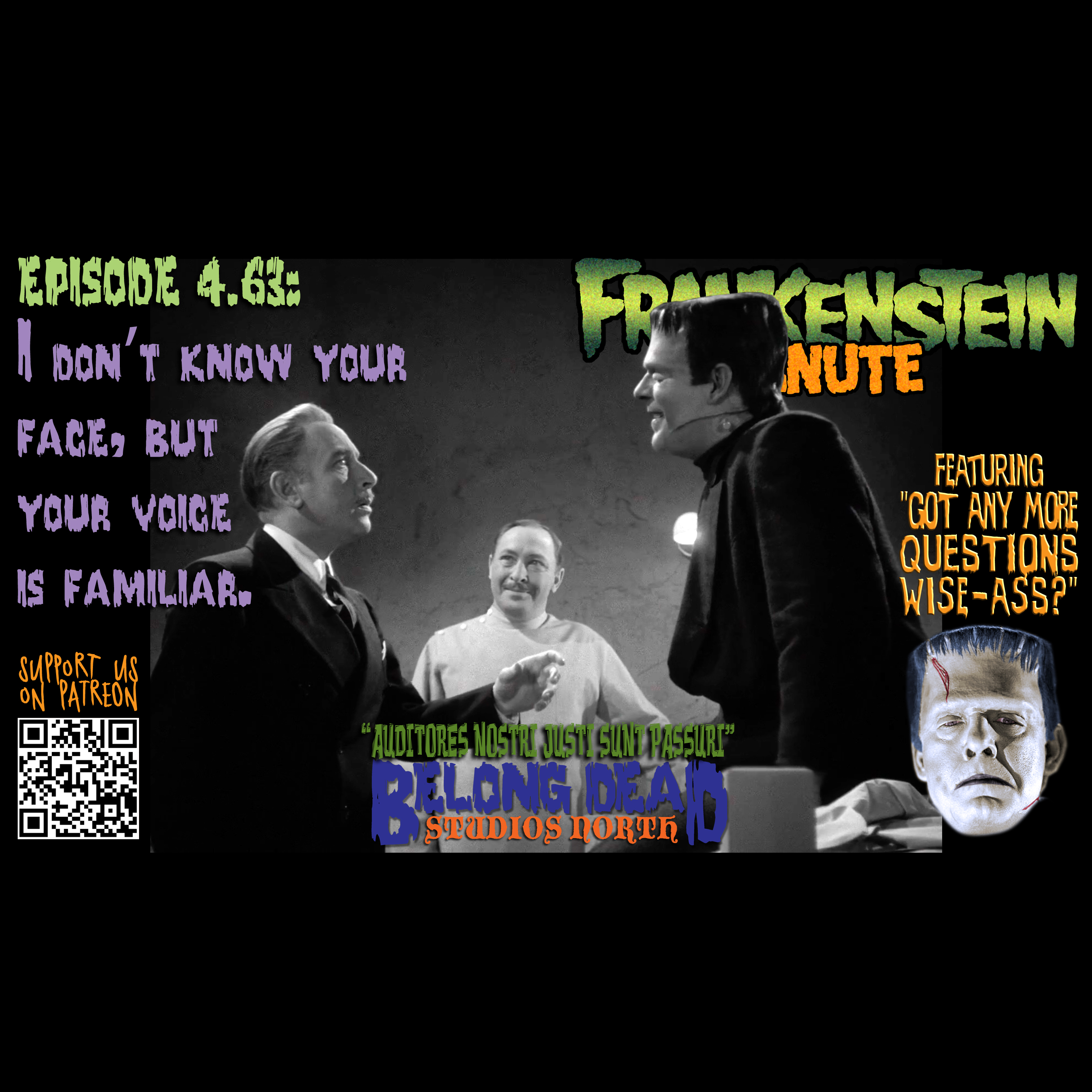 4.63 - I Don't Know Your Face, but Your Voice is Familiar.