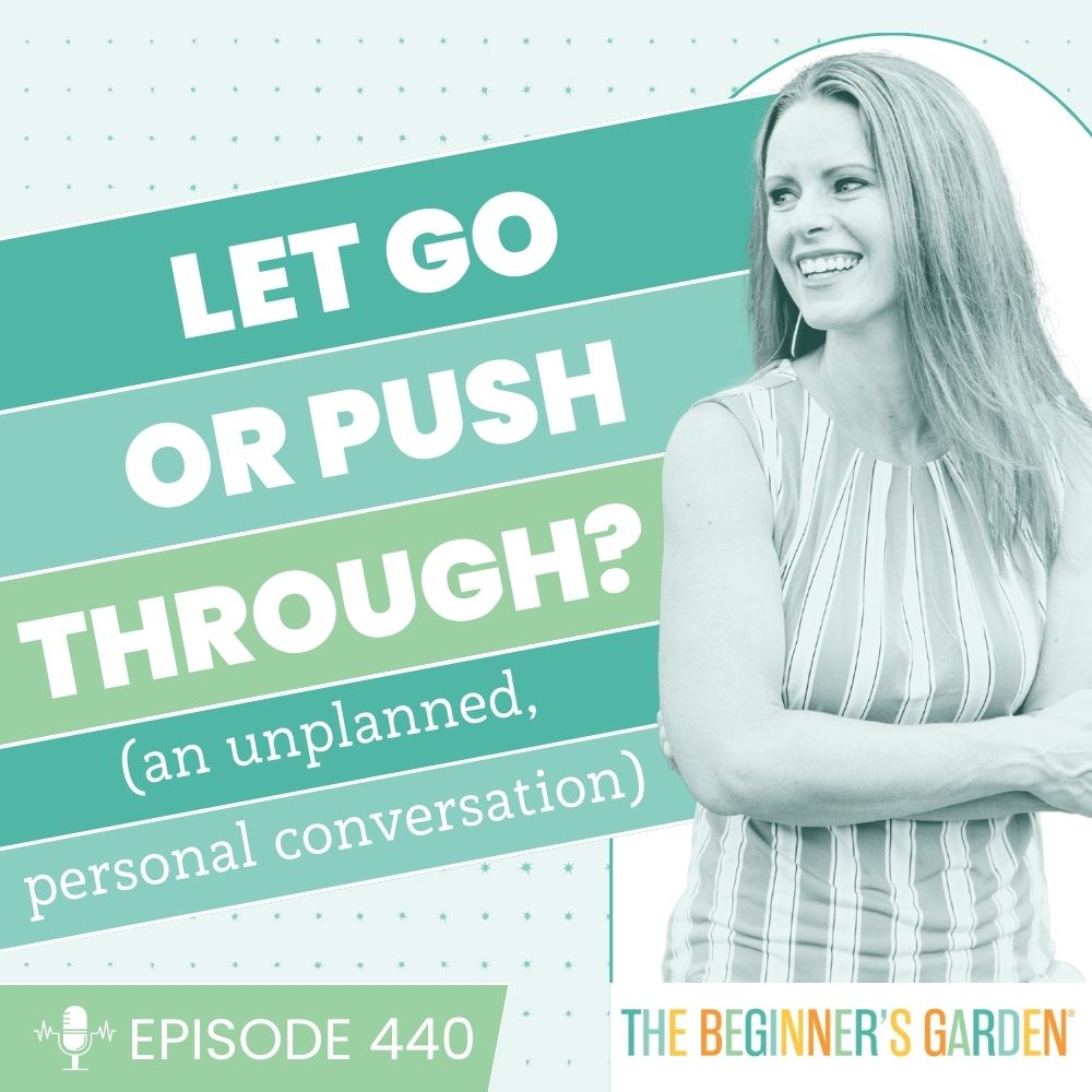 440 - Let go or push through? (an unplanned, personal conversation)