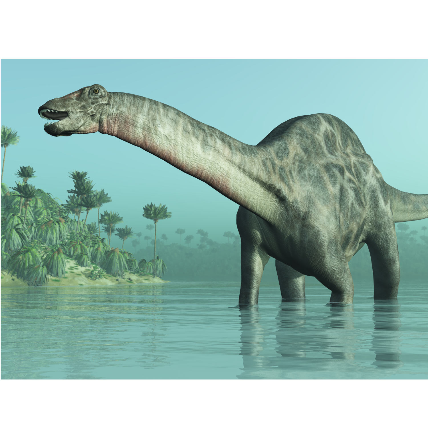 The Land of Dinosaurs
