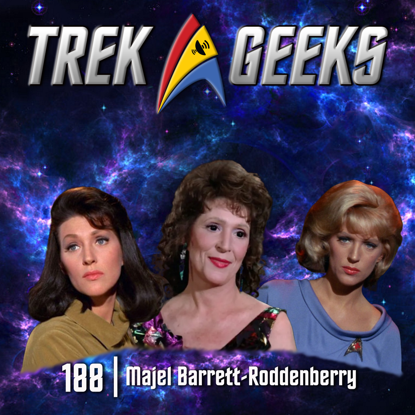 Trek Geeks: A Star Trek Podcast