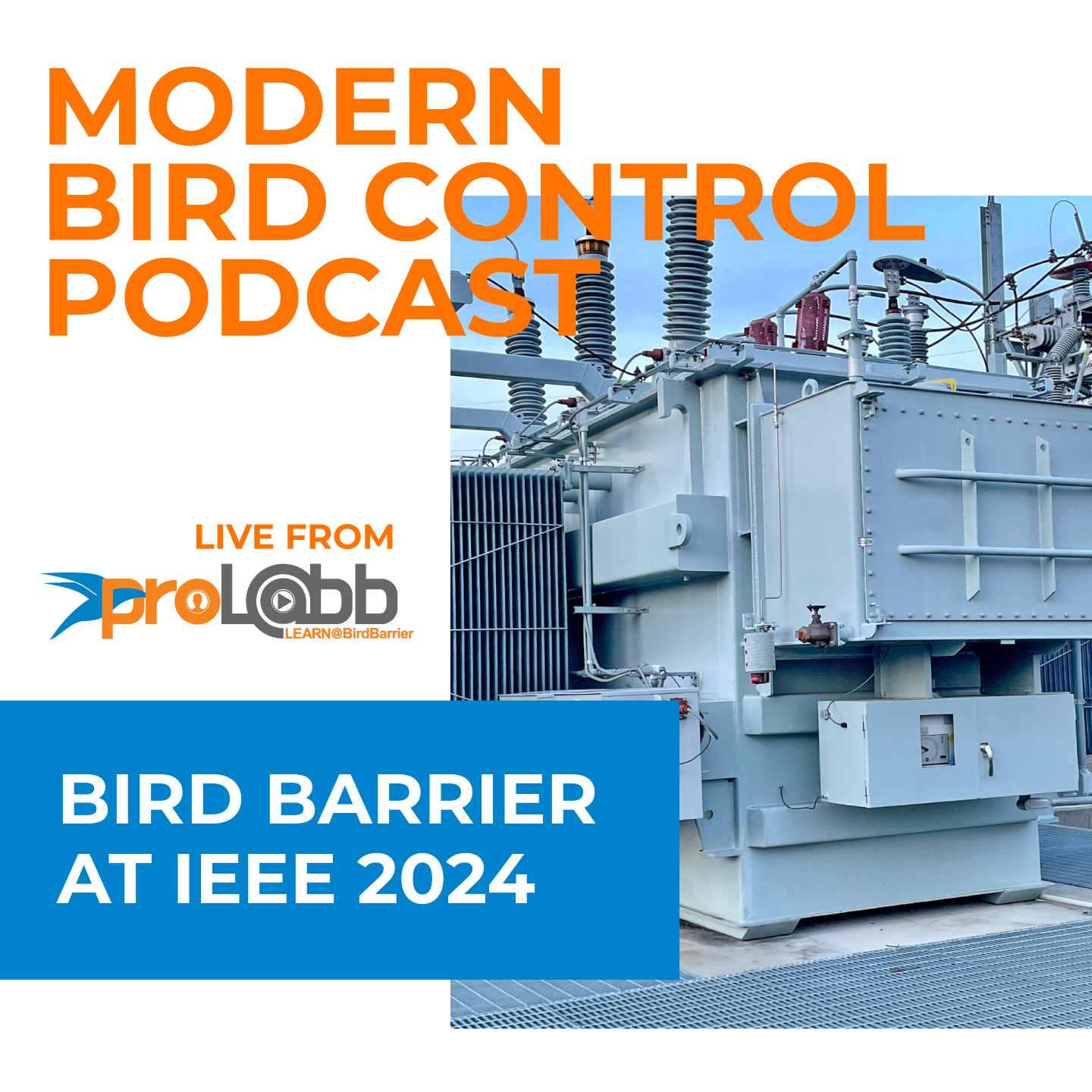 Episode: Bird Barrier at IEEE 2024