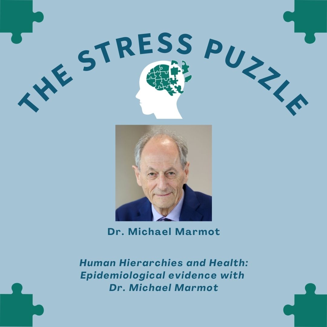 The Stress Puzzle