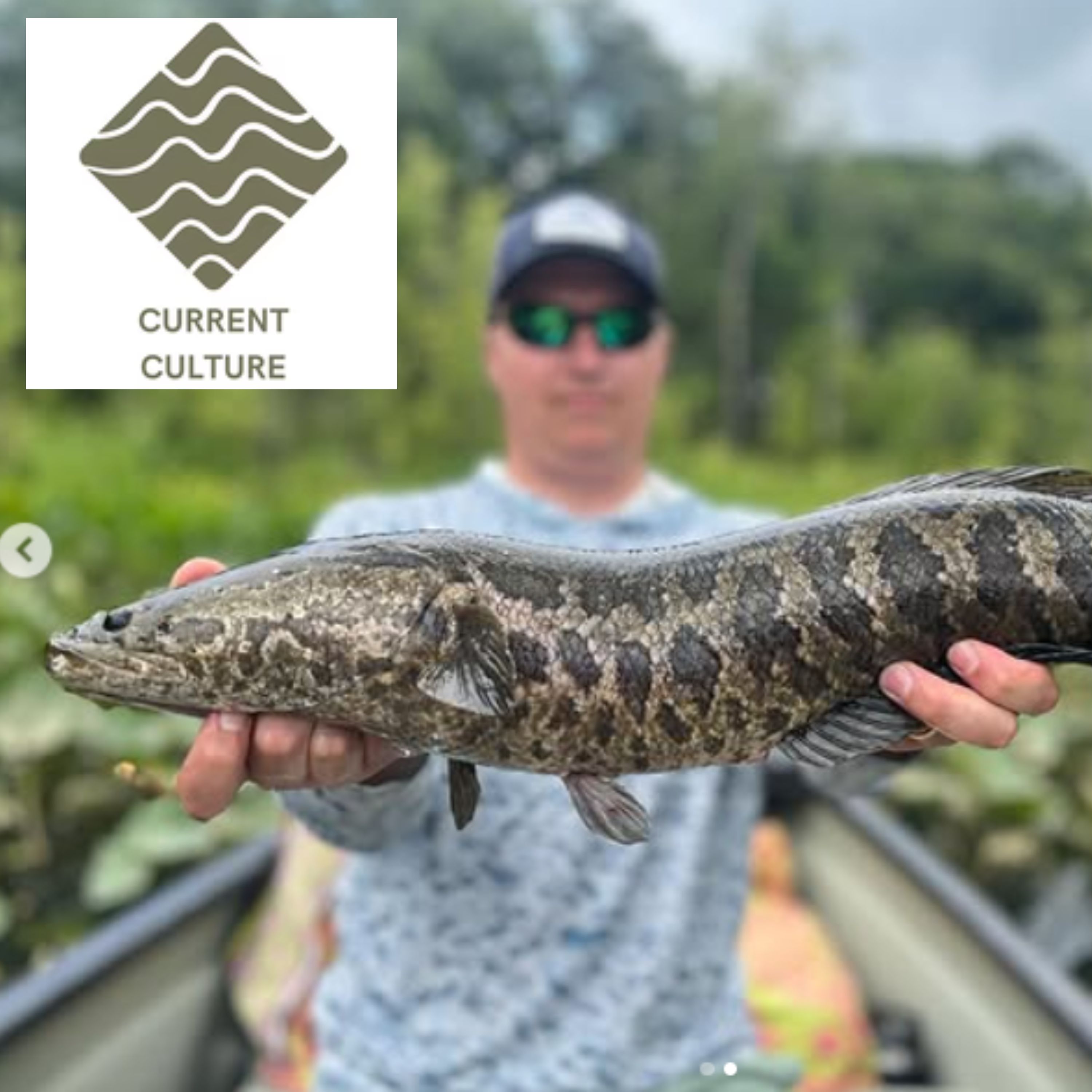 Off the Hook with MattyD